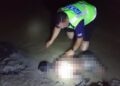 POLIS menemui mayat seorang remaja yang maut akibat lemas selepas mandi dekat pantai berhampiran Bahagian 7, Pulau Carey, Teluk Panglima Garang di Kuala Langat, Selangor, awal pagi semalam.