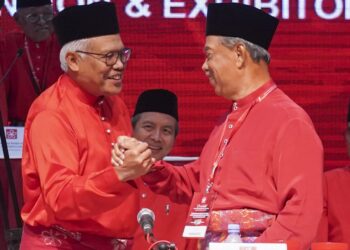 SIAPAKAH tiga Naib Presiden yang bakal menjadi pilihan perwakilan untuk bersama-sama Presiden dan Timbalan Presiden dalam mengatur gerak kerja dan hala tuju Bersatu bagi sesi 2024-2027.