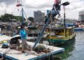 KAKITANGAN MRF melakukan penandaan bagi memantau populasi penyu di Pulau Mantanani, Kota Belud.