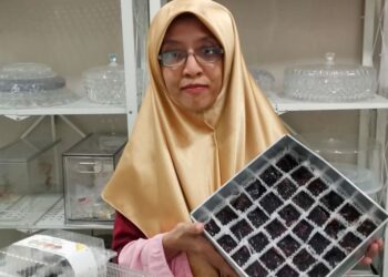 NORYUSRA Yunus mengusahakan perniagaan membuat kek di bengkelnya di Pasir Salak, Perak. – UTUSAN/AIN SAFRE BIDIN