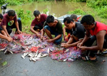 SEBAHAGIAN penduduk mengutip ikan yang tersangkut pada pukat di Kampung Banggol Katong, Serada, Kuala Terengganu, semalam. - UTUSAN/PUQTRA HAIRRY ROSLI