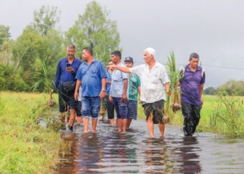 Sebahagian daripada petani menunjukkan kawasan sawah padi mereka yang ditenggelami banjir di Kampung Luar dan Tersang di Rantau Panjang, Kelantan. – UTUSAN/KAMARUL BISMI KAMARUZAMAN