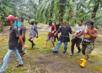 ANTARA suspek yang ditahan dalam Op Sarang dekat dalam sebuah ladang kelapa sawit sekitar Kajang, Klang dan Kuala Langat, Selangor, baru-baru ini.