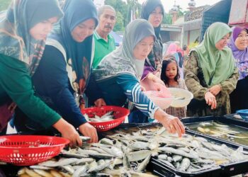 PEMBELI memilih ikan temenung lemak yang dijual pada harga 30 sen seekor dalam Jualan Rahmah di pekarangan Masjid Matang Gerdu di Bagan Serai, Perak kelmarin.  – UTUSAN/WAT KAMAL ABAS