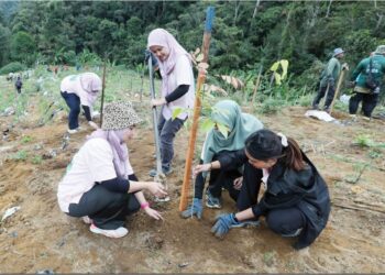 PENANAMAN pokok dilakukan oleh Pejabat Hutan Daerah (PHD) Cameron Highlands di kawasan hutan simpan yang diceroboh di Cameron Highlands, Pahang.