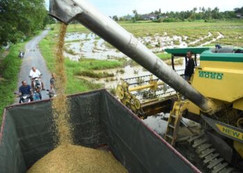 PERLIS menyumbang sebanyak 10.38 peratus pengeluaran beras negara sekali gus memainkan peranan penting khususnya dalam sektor pertanian bagi menyokong dasar sekuriti makanan negara.