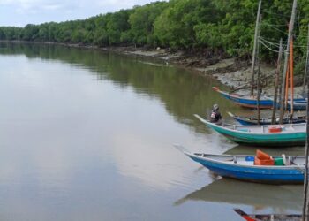 NILAI ikan yang dibeli oleh peraih daripada nelayan didakwa tidak berubah lebih 10 tahun lalu,