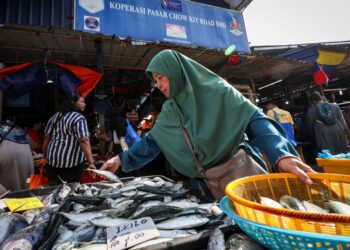 LKIM memberi jaminan bekalan ikan negara mencukupi sepanjang musim tengkujuh yang diramal bermula bulan ini sehingga Mac depan.