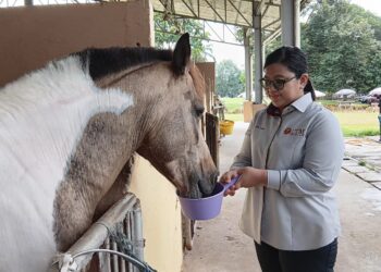 MIRA Panadi memberi MoringaPro Pellet kepada haiwan ternakan di Taman Ekuin UTM, Johor Bahru.