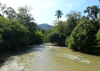 KEADAAN Sungai Jahang tempat berlaku kejadian tiga orang lemas ketika melakukan aktiviti water rafting di Gopeng Jumaat lalu. – UTUSAN/ZULFACHRI ZULKIFLI.