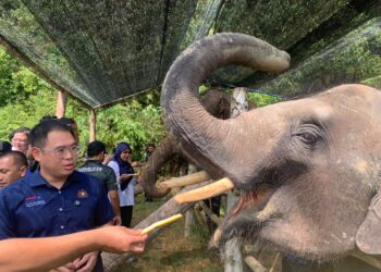 LING Tian Soon ketika melawat Santuari Gajah Johor di Kota Tinggi.