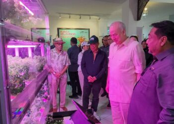 SULTAN Nazrin mendengar taklimat ringkas yang disampaikan Ketua Pegawai Eksekutif Perak SADC, YBhg. Dato’ Haji Yahanis Yahya berkaitan Plant Factory sempena lawatan Tuanku Sultan ke Pavilion 
Perak pada Pameran Pertanian, Hortikultur dan Agro Pelancongan 
Malaysia (MAHA) 2024 yang berlangsung di MAEPS Serdang. –IHSAN 
PERAK SADC