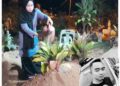 NORASHIKIN Mohammad menyiram air di atas kubur Shakirin (gambar kecil) yang dikebumikan di Tanah Perkuburan Islam Felda Pasak, Kota Tinggi.