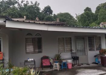 SETIAP hari beratus ekor monyet datang mencari makan dan membuat bising di Kampung Giching di Sepang, Selangor.