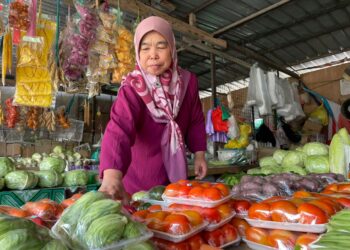 SUDIAH Saupin menyusun sayur-sayuran yang dijual di gerainya di Pekan Kundasang, Ranau