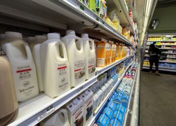 PRODUK susu segar Raw Farm dipamerkan di rak jualan di pasaraya Berkeley Bowl, di Berkeley, California.- AFP