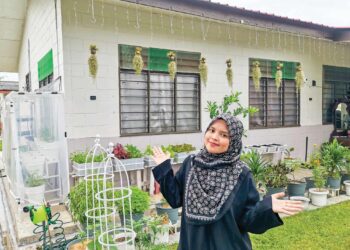 kebun mini milik Wan Nadia Syakira Wan Zulkifli di kediamannya di kuarters Estet Asahan di Melaka.