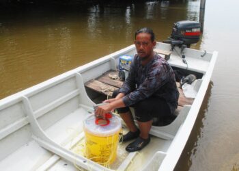 MOHD. SUFRE Jaamat bersama bekas berisi ikan belanak selepas turun menjala di Pantai Klebang, Melaka. – UTUSAN/AMRAN MULUP