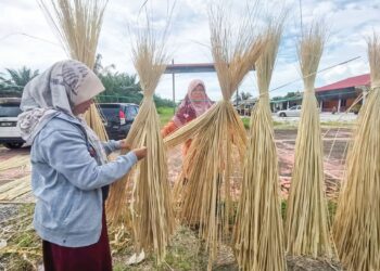 SITI Ramlah Jalil dibantu anaknya, Nazira Jamhari menjemur pucuk nipah sebelum disiat untuk dibuat rokok gulung di kampung Hujung Rintis, Sungai Besar Kota Setia di Pasir Salak, Perak semalam.– UTUSAN/AIN SAFRE BIDIN