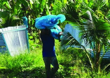 Seorang pekerja warganegara Bangladesh mengangkut pisang dari kebun yang diusahakan di tanah yang disewa daripada penduduk di Bagan Datuk. - UTUSAN/AIN SAFRE BIDIN