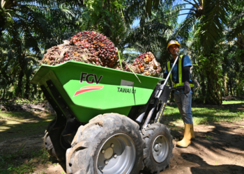 HARGA MSM bagi sebahagian ladang syarikat perladangan utama seperti FGV Holdings, IOI Corporation dan Kuala Lumpur Kepong telah melonjak.