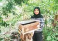 SITI Aisyah Osman menunjukkan lot sarang kelulut yang masih menghasilkan madu di Kampung Padang Landak dekat Jertih, Besut, Terengganu. - UTUSAN / WAN ZURATIKAH IFFAH WAN ZULKIFLI