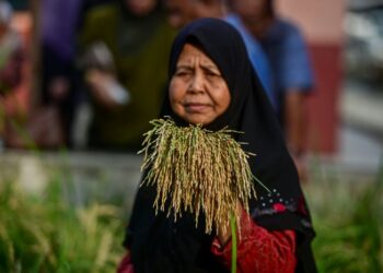 OBJEKTIF utama Lembaga Padi dan Beras Negara 2.0 (LPN 2.0) untuk membangunkan industri padi dan bijirin melalui polisi, strategi dan keutamaan kepada ekosistem yang cekap di sepanjang rantaian bekalan. 
– UTUSAN/PUQTRA HAIRRY