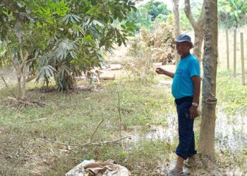 AMIR Mohd. Talib menunjukkan laluan ke kandang kambingnya yang dipenuhi lumpur di Kampung Air Taling, Johol, Kuala Pilah, Negeri Sembilan.- UTUSAN/NOR AINNA HAMZAH