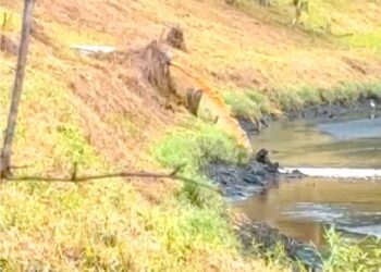 JAS Johor menahan pengurus dan penyelia sebuah kilang berasaskan bagi membantu siasatan kejadian pencemaran Sungai Buloh, Pasir Gudang.