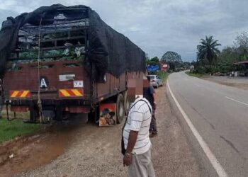 SUSPEK yang bertindak sebagai penghantar anak pokok seludup ditahan PGA di  Kampung Limau Purut, Jalan Panglima Bayu, Rantau Panjang, Kelantan kelmarin.