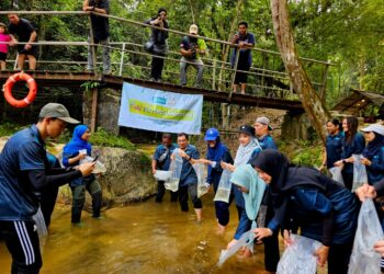 KAKITANGAN BSN melepaskan ikan lampan dan kelah ke Sungai Batangsi dekat Semenyih yang
merupakan salah satu program di bawah BSN Care 50 Hari Memberi.