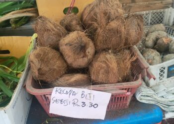 PERSATUAN Pengguna Pulau Pinang (CAP) mendakwa harga kelapa bersaiz besar di beberapa pasar awam di Pulau Pinang kini mencecah RM3.30 sebiji.