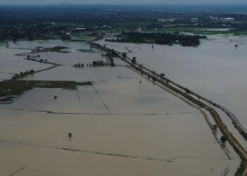 PEMANDANGAN dari udara kawasan sawah yang tenggelam umpama lautan di Kampung Bakong, Arau, Perlis baru-baru ini.- UTUSAN