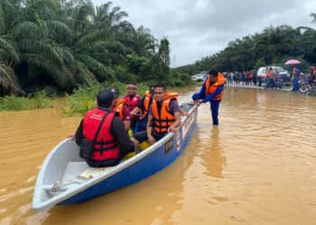 ANGGOTA Angkatan Pertahanan Awam Malaysia melakukan operasi menyelamat mangsa yang terputus hubungan di Felda Chiku 7, Gua Musang, Kelantan hari ini. -  IHSAN APM GUA MUSANG