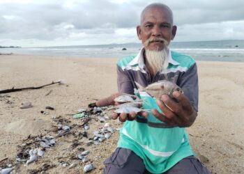 DERAMAN Jusoh menunjukkan ikan yang ‘terdampar’ di Pantai Bari, Setiu, Terengganu. - UTUSAN / WAN ZURATIKAH IFFAH WAN ZULKIFLI