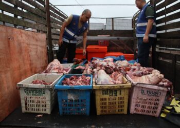 PENGUAT KUASA Jabatan Perkhidmatan Veterinar (JPV) Terengganu merampas 798.6 kilogram karkas lembu di Kuala Terengganu hari ini. - IHSAN JPV