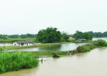 PASIR SALAK 10 DISEMBER 2024: KEADAAN kolam ternakan ikan dan udang yang hampir dinaiki air Sungai Perak ketika tinjauan di Kampung Gajah di Pasir Salak hari ini. - UTUSAN/AIN SAFRE BIDIN