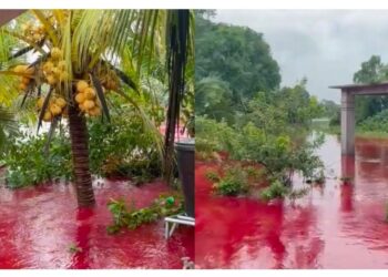 TANGKAP layar video yang tular dalam media sosial memaparkan ‘air bah’ merah melanda Kampung Telaga Bata, Tumpat, Kelantan berpunca dari kilang sos cili.