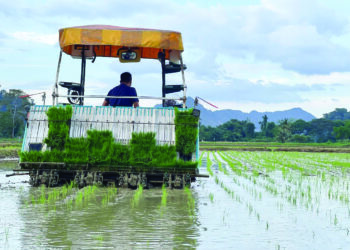 PENGGUNAAN teknologi mesin menanam padi mampu membantu pesawah meningkatkan hasil sehingga lapan tan metrik perhektar di Kampung Hujung Bukit, Bintong, Kangar. - UTUSAN/MOHD. HAFIZ ABD. MUTALIB