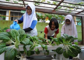 MENANAM sayur di rumah dapat menjimatkan kos. – GAMBAR HIASAN