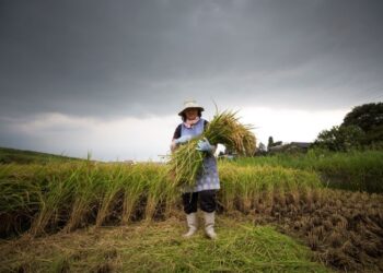 MALAYSIA perlu belajar dengan Jepun tentang bagaimana negara itu tidak banyak mengimport makanan.