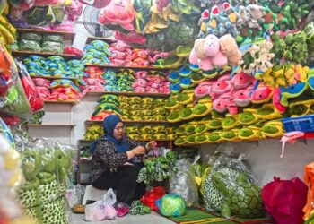 PENIAGA wanita bukan sahaja berpotensi meningkatkan taraf hidup keluarga, malah menyumbang kepada pertumbuhan ekonomi negara secara keseluruhan.