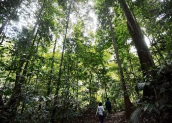 PERUBAHAN IKLIM, konflik tanah dan kesedaran awam yang masih rendah tentang pentingnya hutan menjadi ancaman yang perlu ditangani.