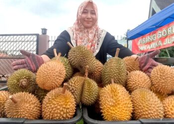 NORMADIAH Mohd. Zaki bersama durian dari Langkap yang dijual di Air Kuning, Tapah. – UTUSAN/MEGAT LUTFI MEGAT RAHIM