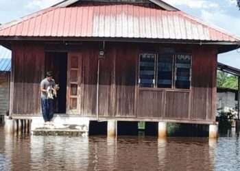 AIDIL Hakim Ahmad Ramli menunjukkan kucing yang terpaksa ditinggalkan di rumah selepas keluarganya berpindah ke PPS SK Gembut, Tanjung Sedili, Kota Tinggi.