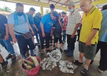 AMALAN atau kaedah berbisik yang diamalkan ketika urus niaga jual beli ikan di Pasar Bisik Kuala Muda sama ada di Kedah atau Pulau Pinang dianggap sebagai adat setempat dan boleh diteruskan selagi tidak bercanggah dengan syarak.-UTUSAN/IQBAL HAMDAN