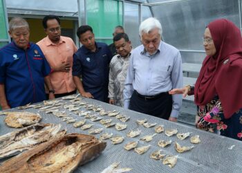 ABDUL Aziz Sheikh Ab. Kadir (dua dari kanan) melihat produk ikan kering yang dihasilkan pada Majlis Perasmian Kubah Pengering Solar Persatuan Nelayan Kawasan Telok Kemang di Kampung Teluk, Pasir Panjang, Port Dickson.-UTUSAN/MOHD. SHAHJEHAN MAAMIN.