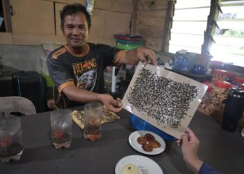 PENDUDUK menunjukkan lalat di kertas perangkap lalat di rumahnya di Kampung Ladang Batu, Tanjong Sepat, Kuala Langat, semalam. - UTUSAN/ ISKANDAR SHAH MOHAMED