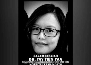 Dr Tay Tien Yaa