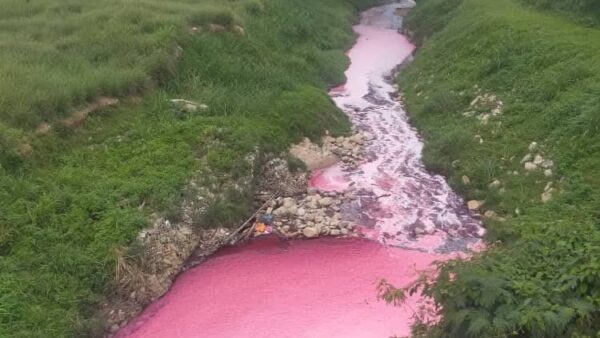 Sungai merah jambu